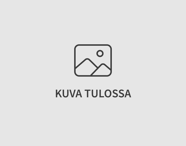 3 metrin savupiippuu kuva